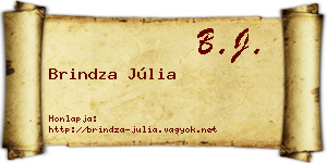 Brindza Júlia névjegykártya